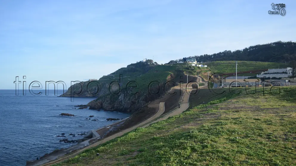 DSC_0138 (2)