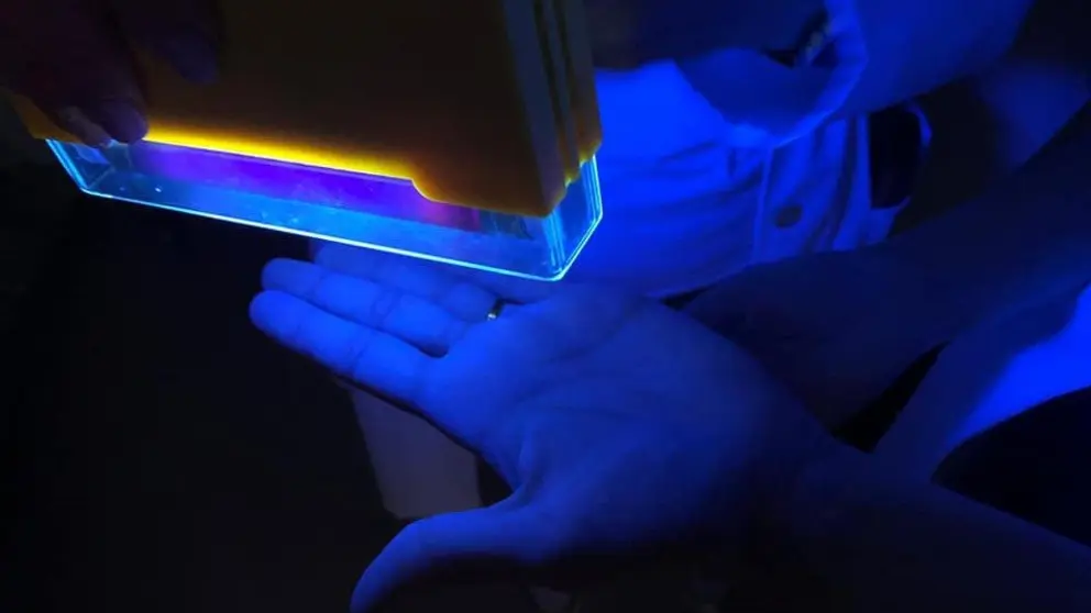 59750690_10217176252491221_7962910804628471808_n