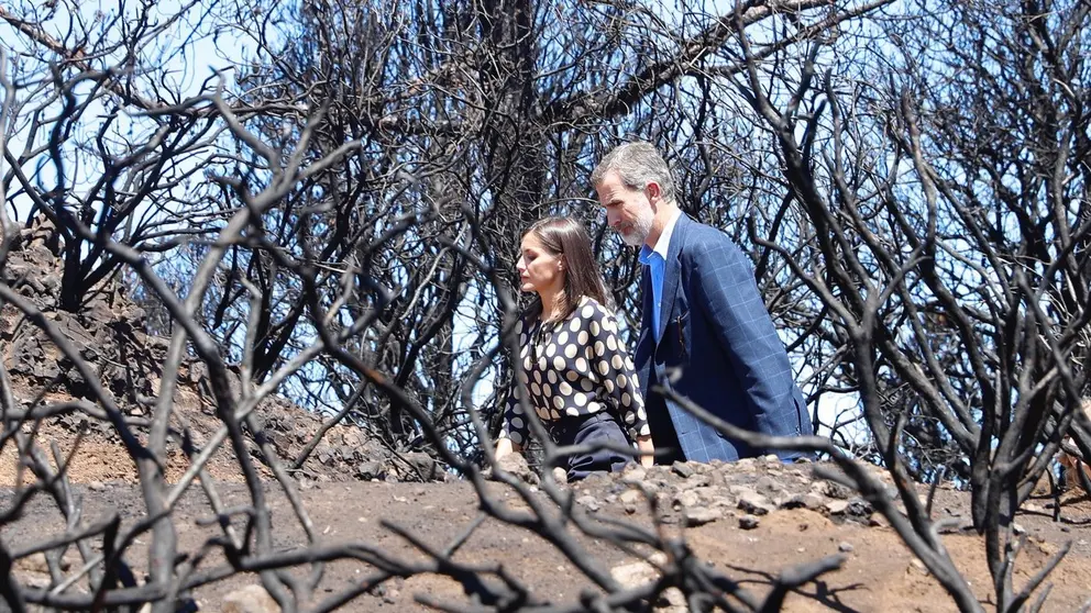 reyes_visita_zonas_incendio_gran_canaria_20190923_28
