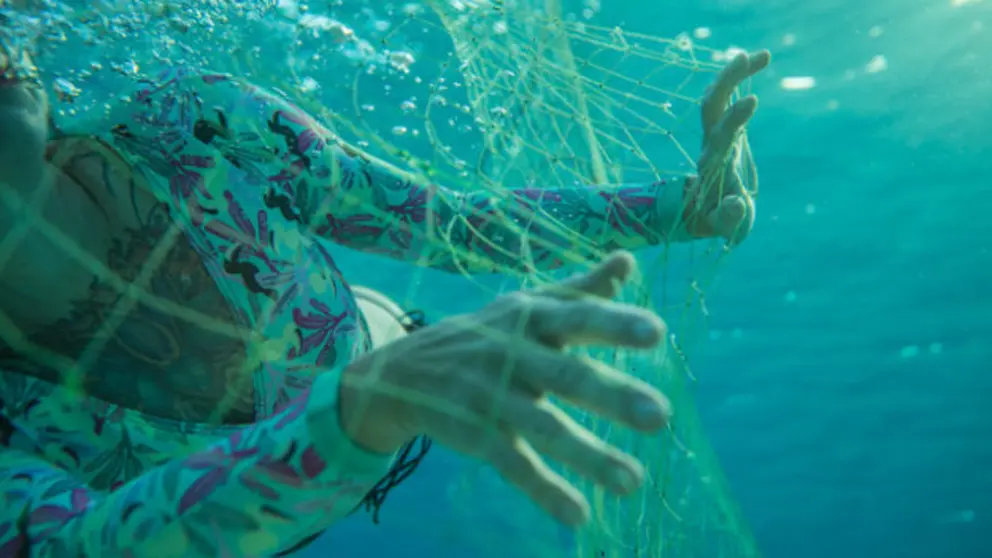 Surfer_NET_225-11-10-5-625x417