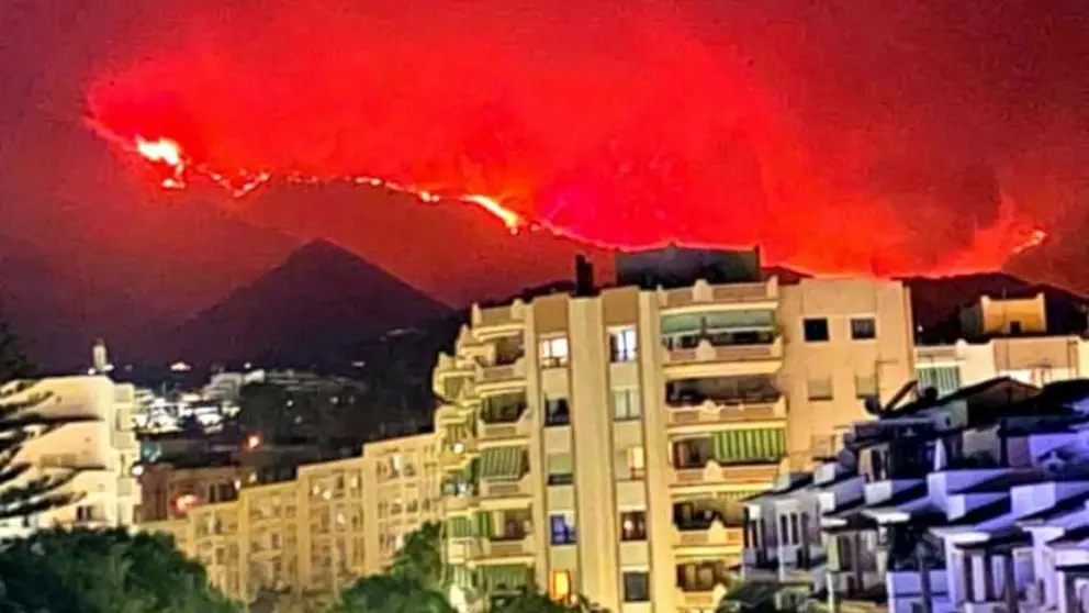 @Sharo174-Foto tomada desde la avenida de Andaluc&iacute;a, Estepona. 
Se teme que haya afectado al 10% de la poblaci&oacute;n de pinsapos.