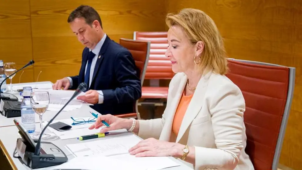 Yolanda Merelo Mesa Senado
