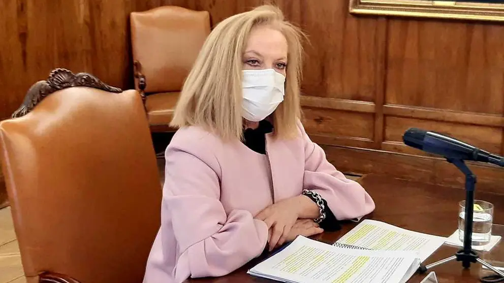 La directora del INGESA, Bel&eacute;n Hernando Gal&aacute;n