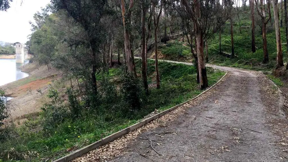 Camino Renegado