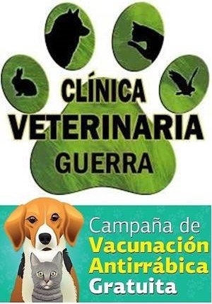 Presentación1