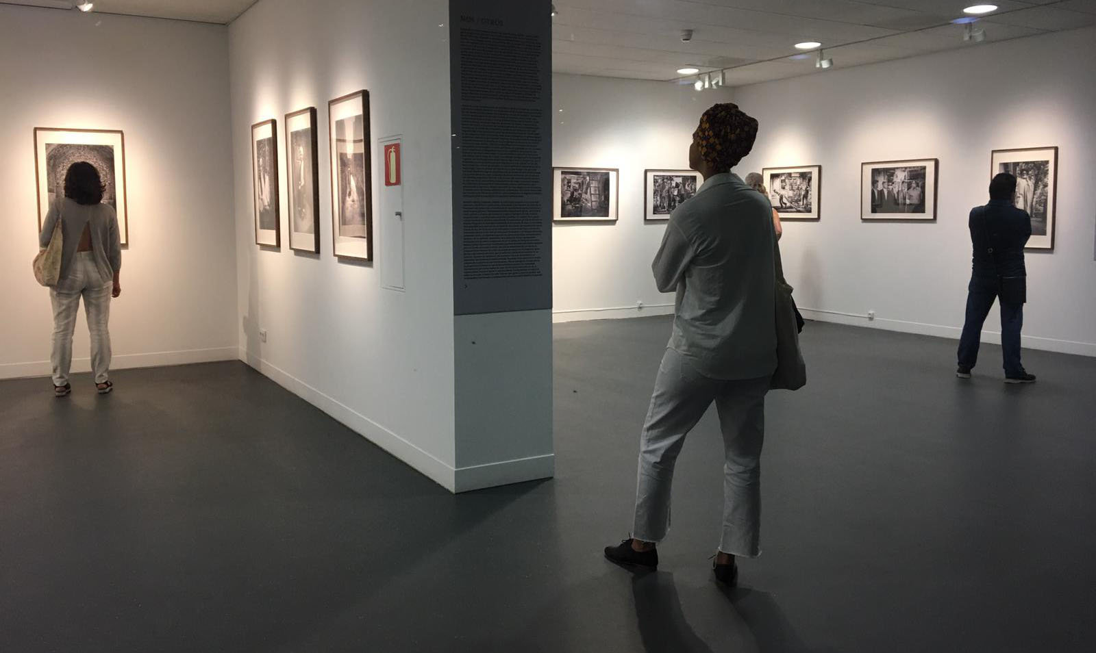 Exposición2